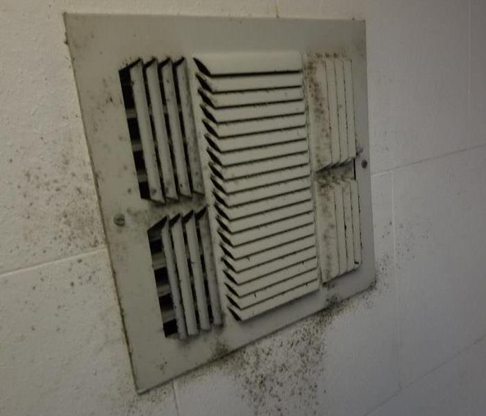 residential vent with microbial growth (mold) before SERVPRO cleaned the ducts and remediated 